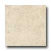 Iris Ceramica Iris Ceramica Earthstone 12 X 12 Durango Tile  &  Stone