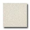 Armstrong Armstrong Medintech Homogeneous Ixia Vinyl Flooring