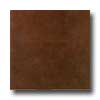 Tilecrest Tilecrest Contemporary 12 X 24 Copper Tile  &  Stone