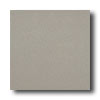 American Olean American Olean Quarry Naturals Abrasive 6 X 6 Shadow Gray Tile  &