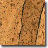 Nova Cork Nova Cork Klick - Urethane Finish Flameco Cork Flooring