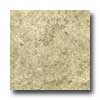 Portobello Portobello Pietra Di Toscana 9 X 18 Grigio Tile  &  Stone
