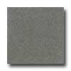 Santa Regina Santa Regina Architectural 24 X 24 (polished) Olive Terrazzo Til