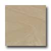 Daltile Daltile Era 18 X 18 Unpolished Trias Tile  &  Stone