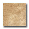 Tesoro Tesoro Intinta Nocciloa Tile  &  Stone