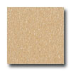 Armstrong Armstrong Excelon Imperial Texture Camel Beige Vinyl Flooring