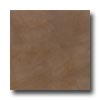 American Olean American Olean Park Avenue 18 X 18 Broadway Brown Tile  &  Stone