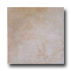Interceramic Interceramic Cotto Andalusi 6 X 6 Jaen Beige Tile  &  Stone