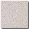 Armstrong Armstrong Safeguard Hydro Slip-retardant Light Gray Vinyl Floori