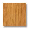 BHK Bhk Visions- Embossed-in-register Atlantic Oak Laminate Flooring
