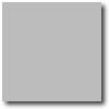 Daltile Daltile Rittenhouse Square 3 X 6 Ice Grey Tile  &  Stone