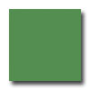 Armstrong Armstrong Mode - Solids Grassy Green Vinyl Flooring
