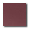 Daltile Daltile Designer Colours 8 X 8 Burgundy Tile  &  Stone