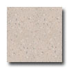 Armstrong Armstrong Excelon Companion Square Premium Multi Taupe Vinyl Flo