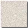 Armstrong Armstrong Safeguard Hydro Slip-retardant Granite Vinyl Flooring