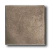 American Olean American Olean Artistic Elements Metalworks Stone Surface 6 X 6