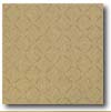 Daltile Daltile Suretread  &  Pavers 6 X 6 Golden Brown Suretread Tile  &  S