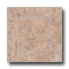 Earth Werks Earth Werks Venetian Stone 2210 Vinyl Flooring