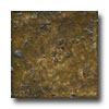 Portobello Portobello Mediterraneo 6 X 6 Noce Tile  &  Stone