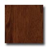 Bruce Bruce Turlington American Exotics Walnut 3 Autumn Brown Hardwood