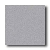 Crossville Crossville Cross-colors A 6 X 6 Polished Atlantic Grey Tile  &  St