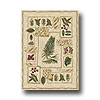 Home Dynamix Home Dynamix Natalie 5 X 7 Ivory 7302 Area Rugs