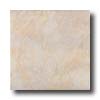 Armstrong Armstrong Slate 16 X 16 Neutral Tile  &  Stone