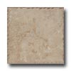Cerdomus Cerdomus Pietra D Assisi 16 X 24 Noce Tile  &  Stone