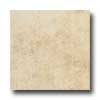 Daltile Daltile Brixton 18 X 18 Sand Tile  &  Stone
