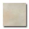 Italgres Italgres Marbella 18 X 27 Crema Tile  &  Stone
