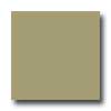 Daltile Daltile Design Porcelain Unpolished 4 X 4 Pietra Di Luna Tile  &