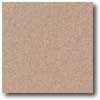 Daltile Daltile Porcealto (unpolished) 6 X 6 Rosa Antico Tile  &  Stone