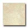 Bella Cera Bella Cera Riviera 16 X 16 Tan Tile  &  Stone
