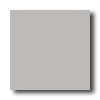 Crossville Crossville Cross-colors C 8 X 8 Polished Platinum Tile  &  Stone