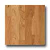 Harris-Tarkett Harris-tarkett Foundations American Natural Hardwood Flooring