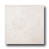Ege Ege Santa Barbara 18 X 18 White Tile  &  Stone