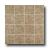 Tarkett Tarkett Contours - Nebraska Brown Teepee Vinyl Flooring