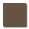 Daltile Daltile Liners Flat 1 / 2 X 6 Artisan Brown Tile  &  Stone