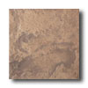 American Olean American Olean Earthscapes 12 X 12 Canyon Tile  &  Stone