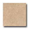 Ergon Tile Ergon Tile Lagos 12 X 24 Dorato Belem Tile  &  Stone
