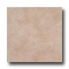 Tesoro Tesoro Colorado 18 X 18 Noce Tile  &  Stone