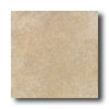 Daltile Daltile Alta Vista 12 X 12 Sunset Gold Tile  &  Stone