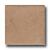 Cerdomus Cerdomus Durango 6 X 6 Noce Tile  &  Stone