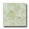 Domco Domco Builders Choice - Stage 12041 Vinyl Flooring