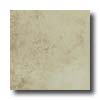 Bella Cera Bella Cera Renaissance 20 X 20 Beige Tile  &  Stone
