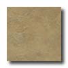 Eliane Eliane Athena 16 X 16 Gold Tile  &  Stone