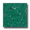 Santa Regina Santa Regina Accent 16 X 16 (polished) Emerald Terrazzo Tile