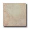 Italgres Italgres Buxy 13 X 13 Marfil Tile  &  Stone
