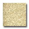 Domco Domco Influence - Stardust 52055 Vinyl Flooring