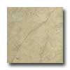 Portobello Portobello Catalina 8 X 12 Palm Tile  &  Stone